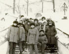 tr_0801.JPG (81021 bytes)